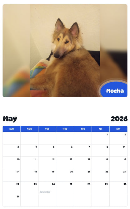 2026 - 2027 Mocha - Pawidols Pet Calendar
