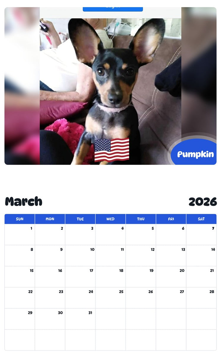 November 2025 - October 2026 Pumpkin - Pawidols Pet Calendar