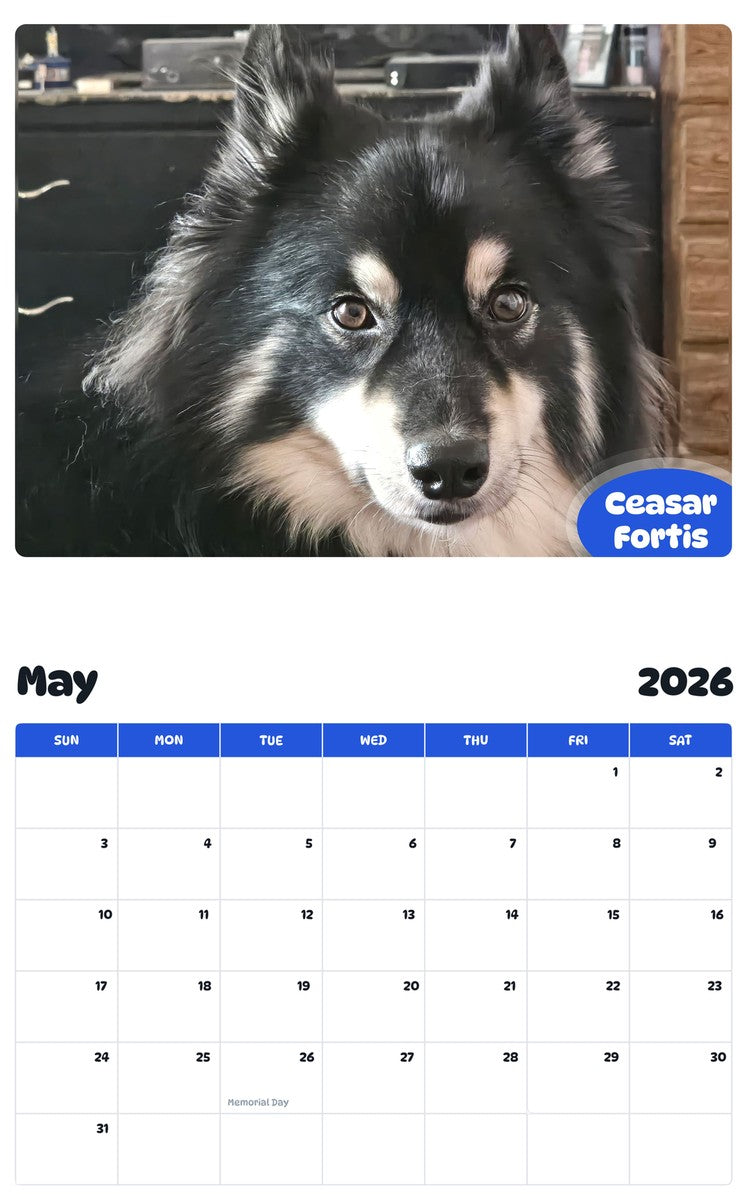 2026 - 2027 Ceasar Fortis - Pawidols Pet Calendar