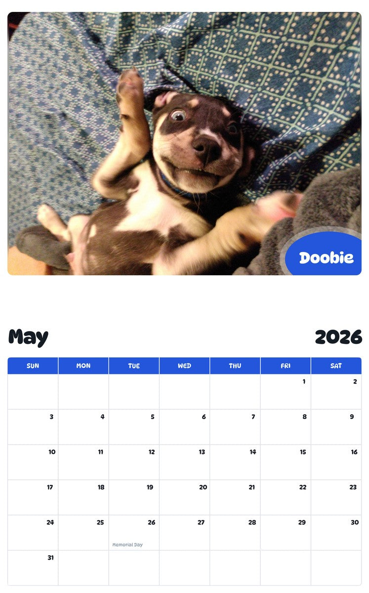 2026 - 2027 Doobie - Pawidols Pet Calendar