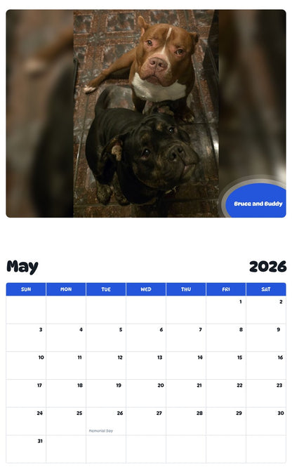 2026 - 2027 Bruce and Buddy - Pawidols Pet Calendar