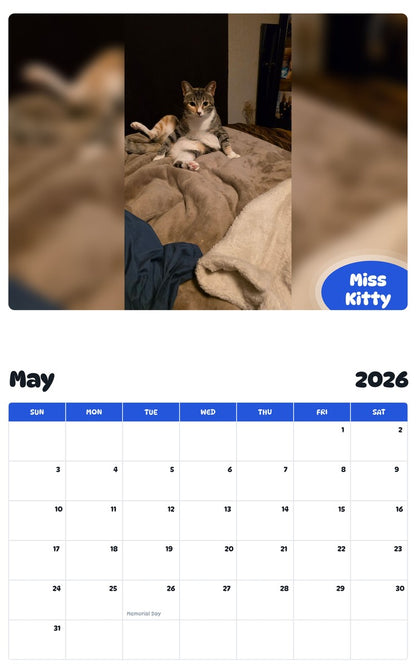 2026 - 2027 Miss Kitty - Pawidols Pet Calendar