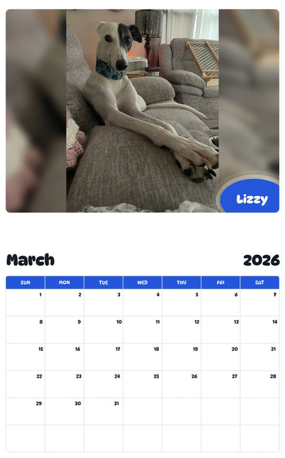November 2025 - October 2026 Lizzy - Pawidols Pet Calendar