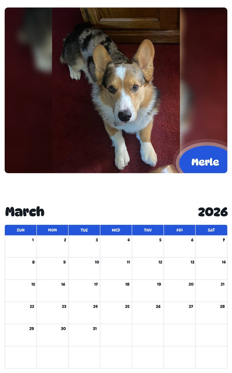 November 2025 - October 2026 Merle - Pawidols Pet Calendar