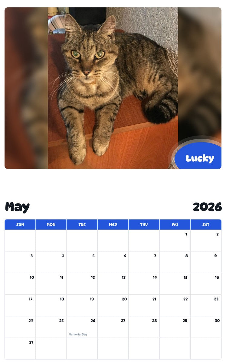 2026 - 2027 Lucky - Pawidols Pet Calendar