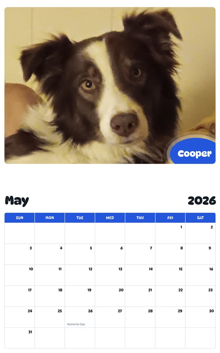 2026 - 2027 Cooper - Pawidols Pet Calendar