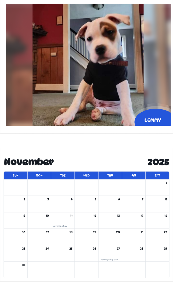 July 2025 - June 2026 Lemmy - Pawidols Pet Calendar