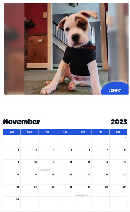 July 2025 - June 2026 Lemmy - Pawidols Pet Calendar