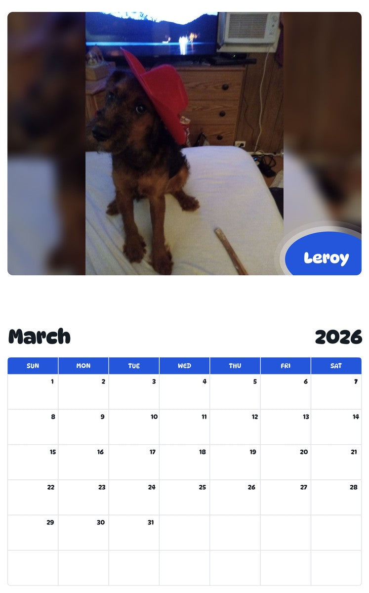 November 2025 - October 2026 Leroy - Pawidols Pet Calendar