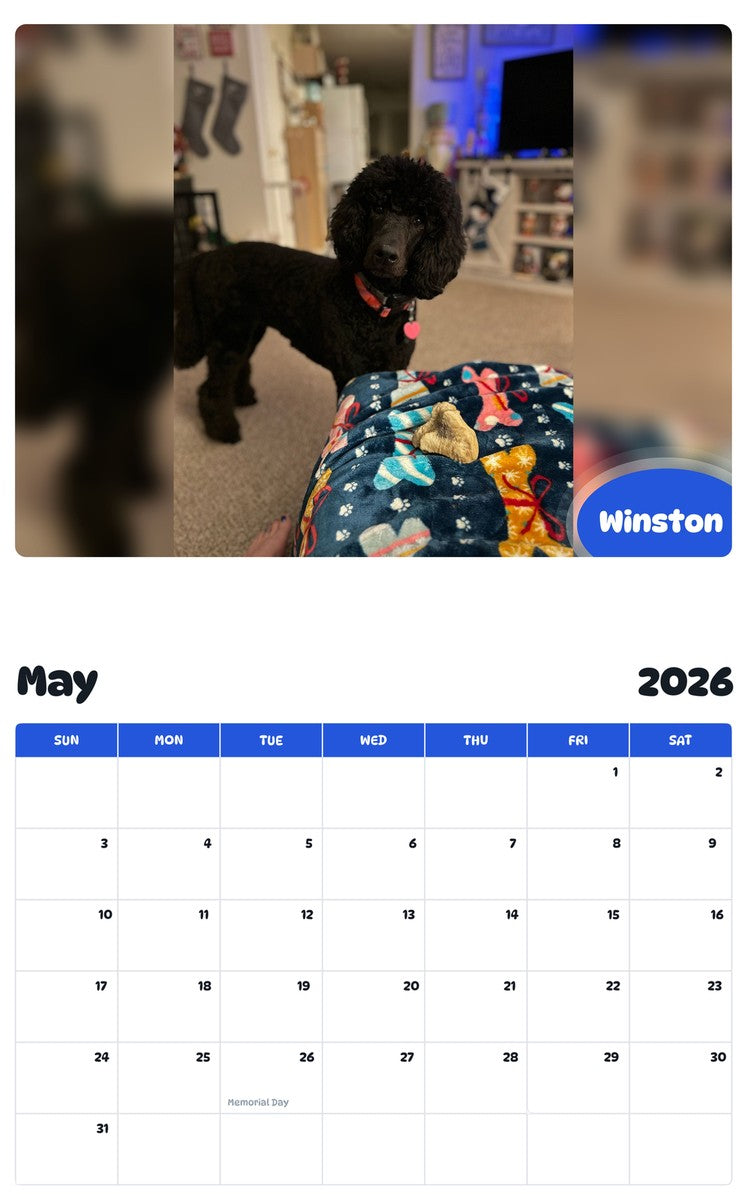 2026 - 2027 Winston - Pawidols Pet Calendar