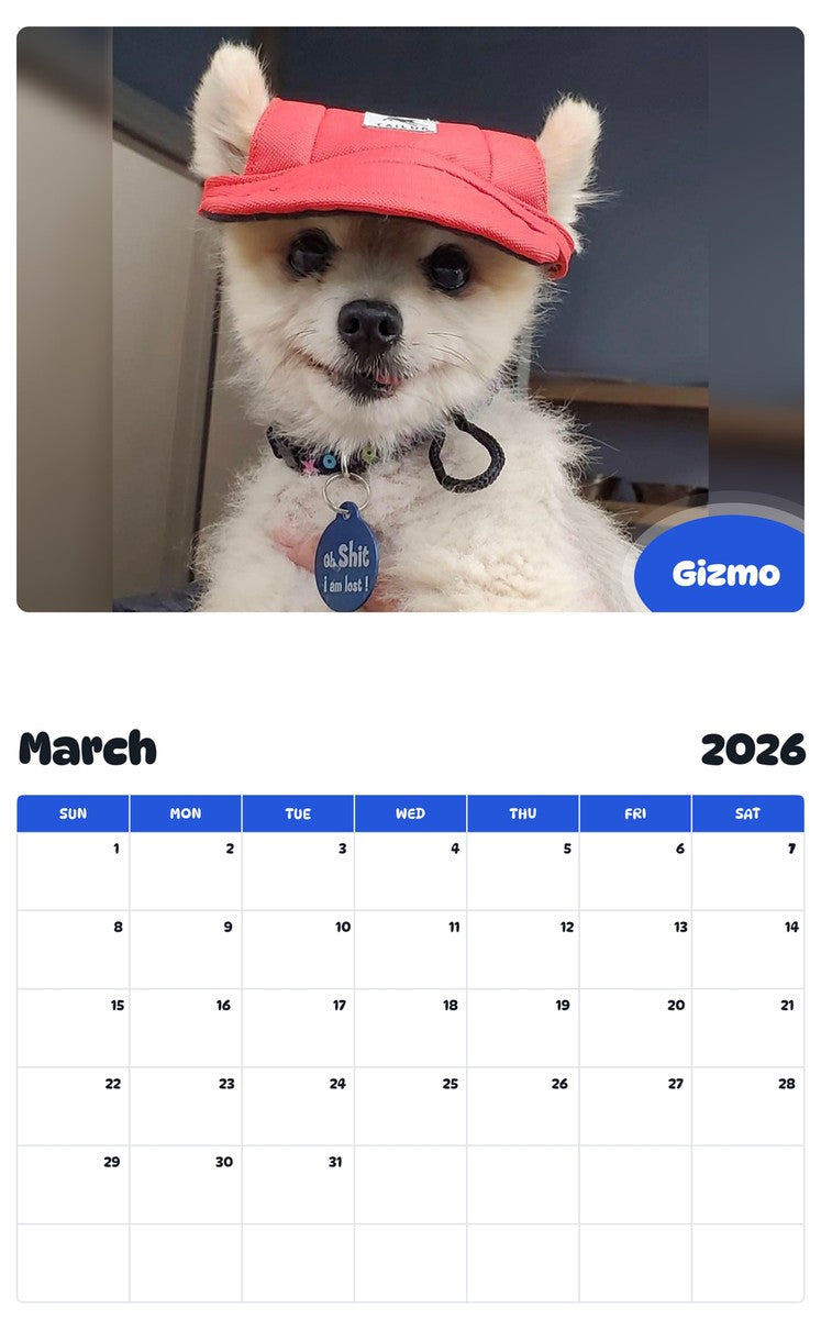 November 2025 - October 2026 Gizmo - Pawidols Pet Calendar