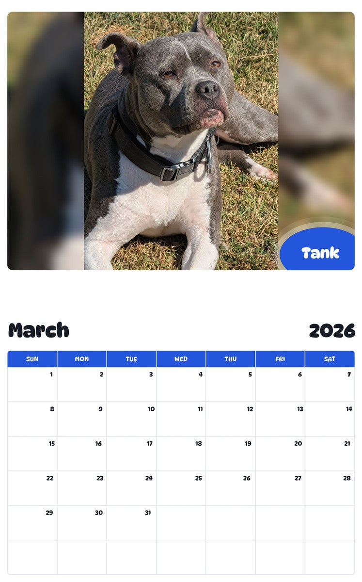 November 2025 - October 2026 Tank - Pawidols Pet Calendar