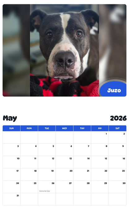 2026 - 2027 Juzo - Pawidols Pet Calendar