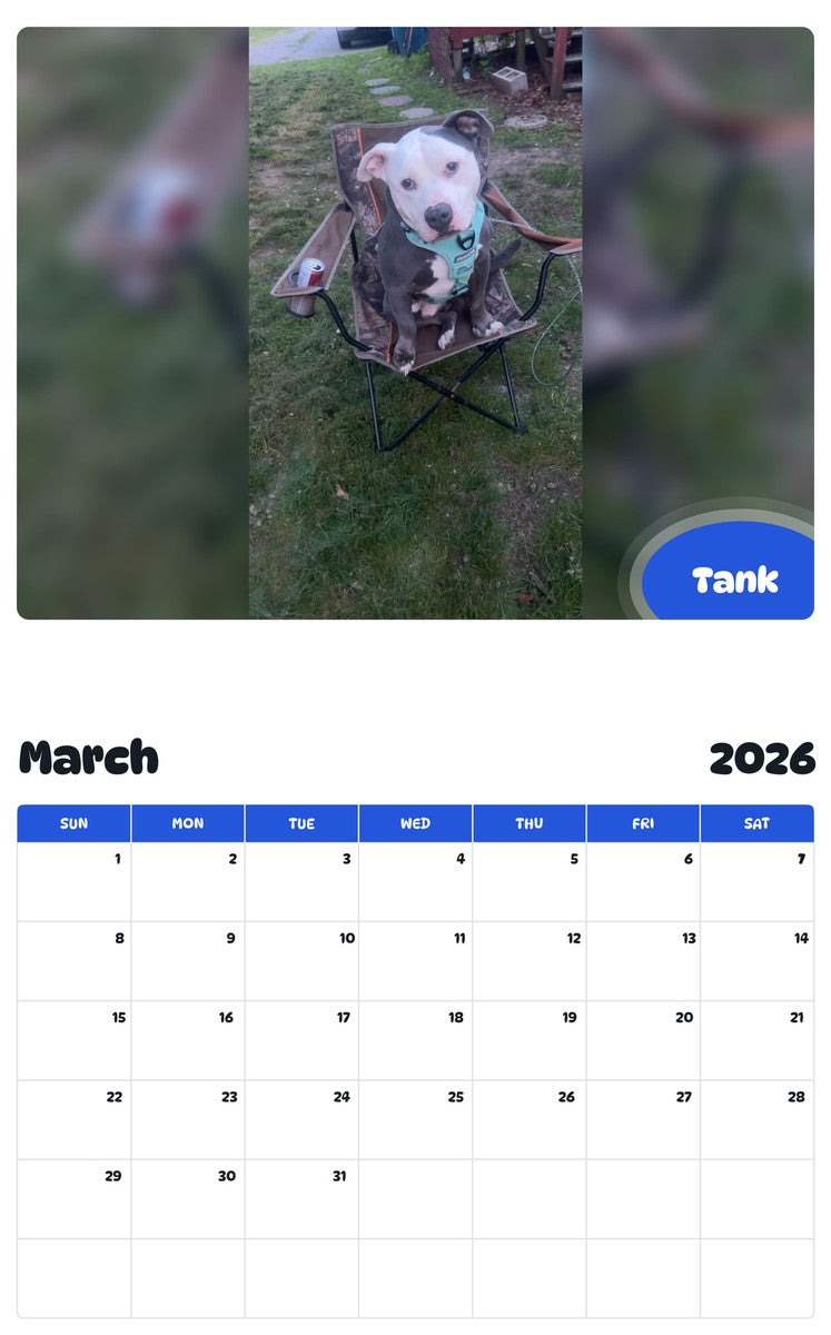 November 2025 - October 2026 Tank - Pawidols Pet Calendar