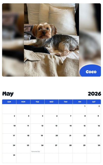2026 - 2027 Coco - Pawidols Pet Calendar