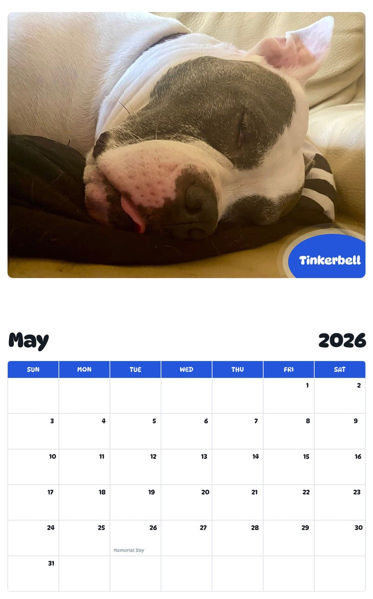 2026 - 2027 Tinkerbell - Pawidols Pet Calendar