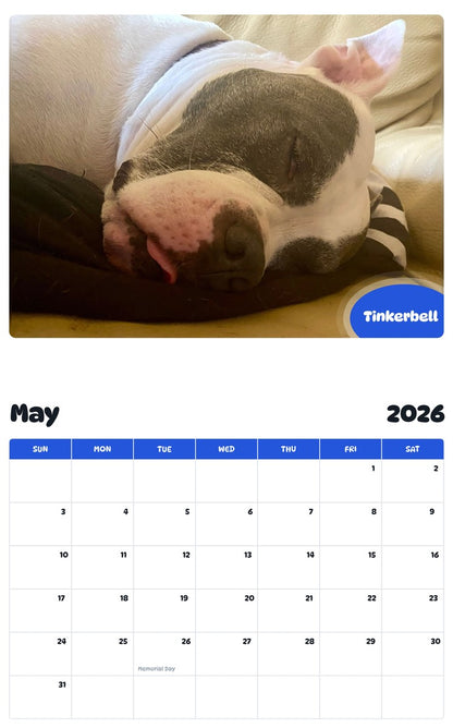2026 - 2027 Tinkerbell - Pawidols Pet Calendar