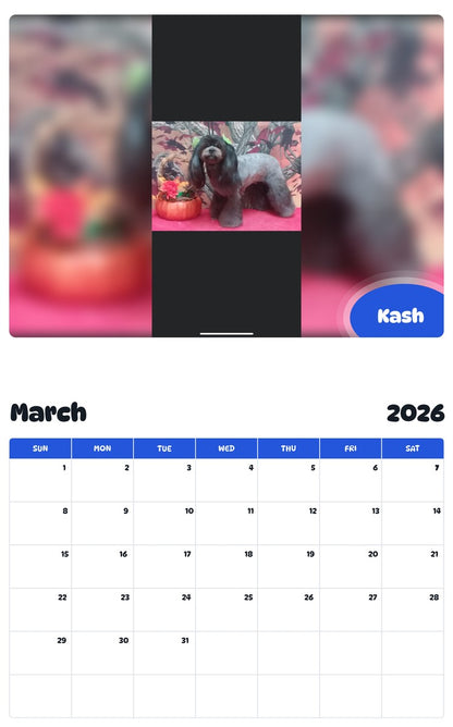 November 2025 - October 2026 Kash - Pawidols Pet Calendar