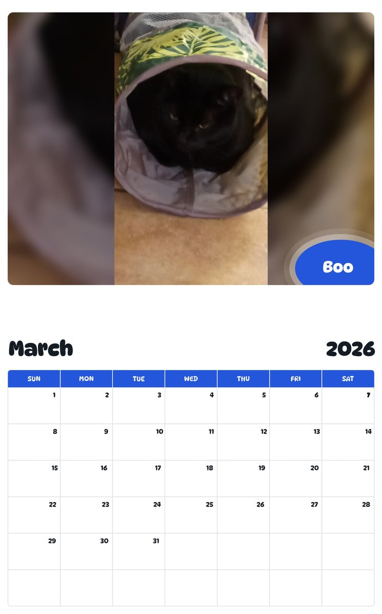 November 2025 - October 2026 Boo - Pawidols Pet Calendar