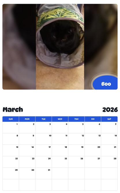 November 2025 - October 2026 Boo - Pawidols Pet Calendar