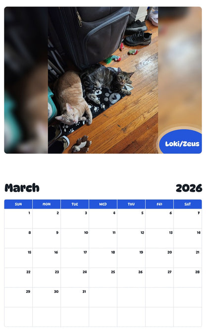 November 2025 - October 2026 Loki/Zeus - Pawidols Pet Calendar