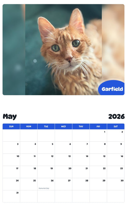 2026 - 2027 Garfield - Pawidols Pet Calendar