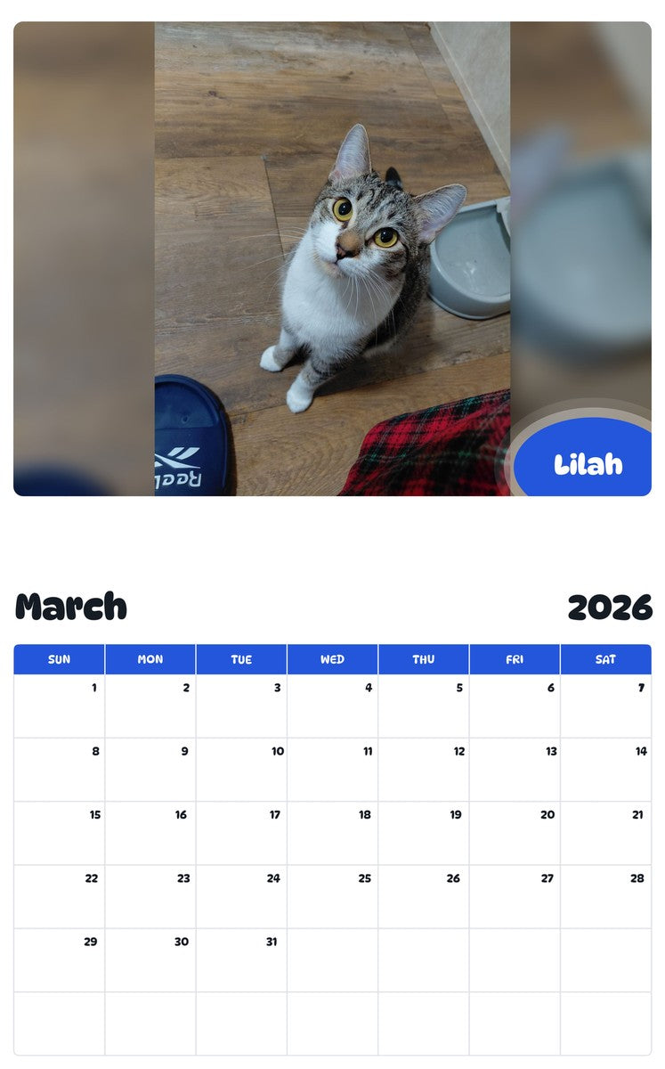 November 2025 - October 2026 Lilah - Pawidols Pet Calendar