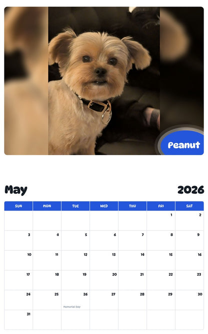 2026 - 2027 Peanut - Pawidols Pet Calendar