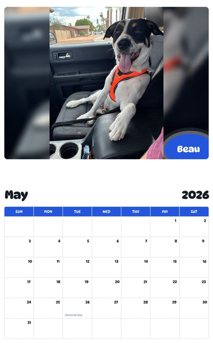 2026 - 2027 Beau - Pawidols Pet Calendar