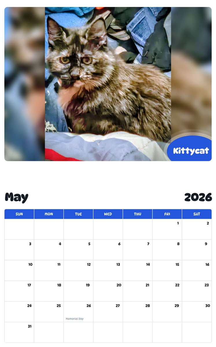 2026 - 2027 Kittycat - Pawidols Pet Calendar