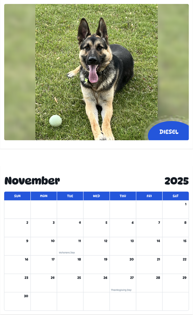 July 2025 - June 2026 Diesel - Pawidols Pet Calendar
