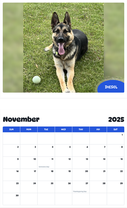 July 2025 - June 2026 Diesel - Pawidols Pet Calendar