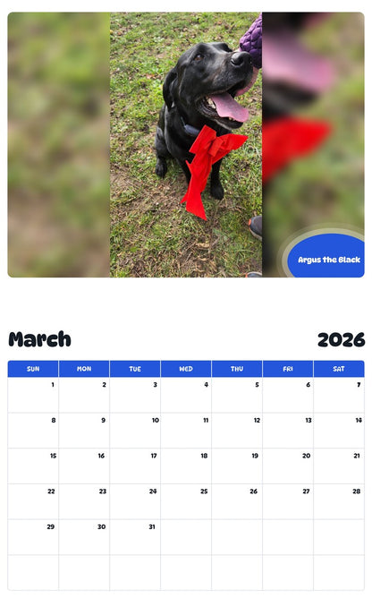 November 2025 - October 2026 Argus the Black - Pawidols Pet Calendar