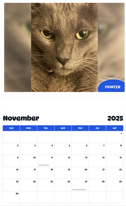 July 2025 - June 2026 Printer - Pawidols Pet Calendar
