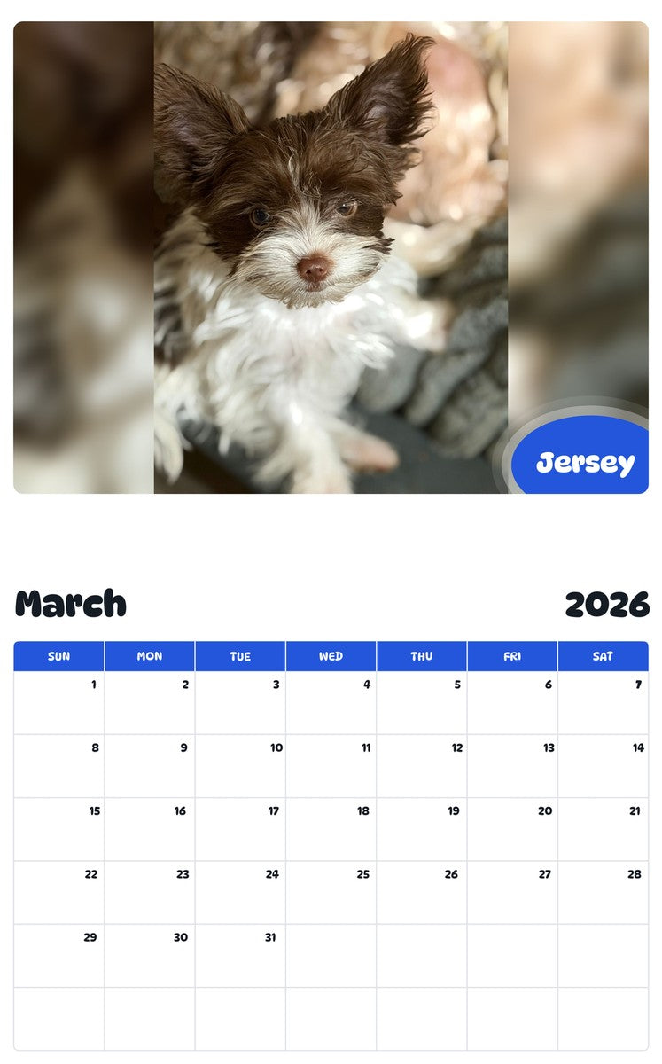 November 2025 - October 2026 Jersey - Pawidols Pet Calendar