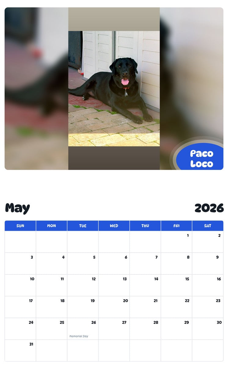 2026 - 2027 Paco Loco - Pawidols Pet Calendar