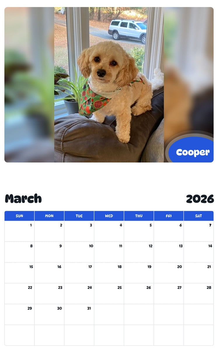 November 2025 - October 2026 Cooper - Pawidols Pet Calendar