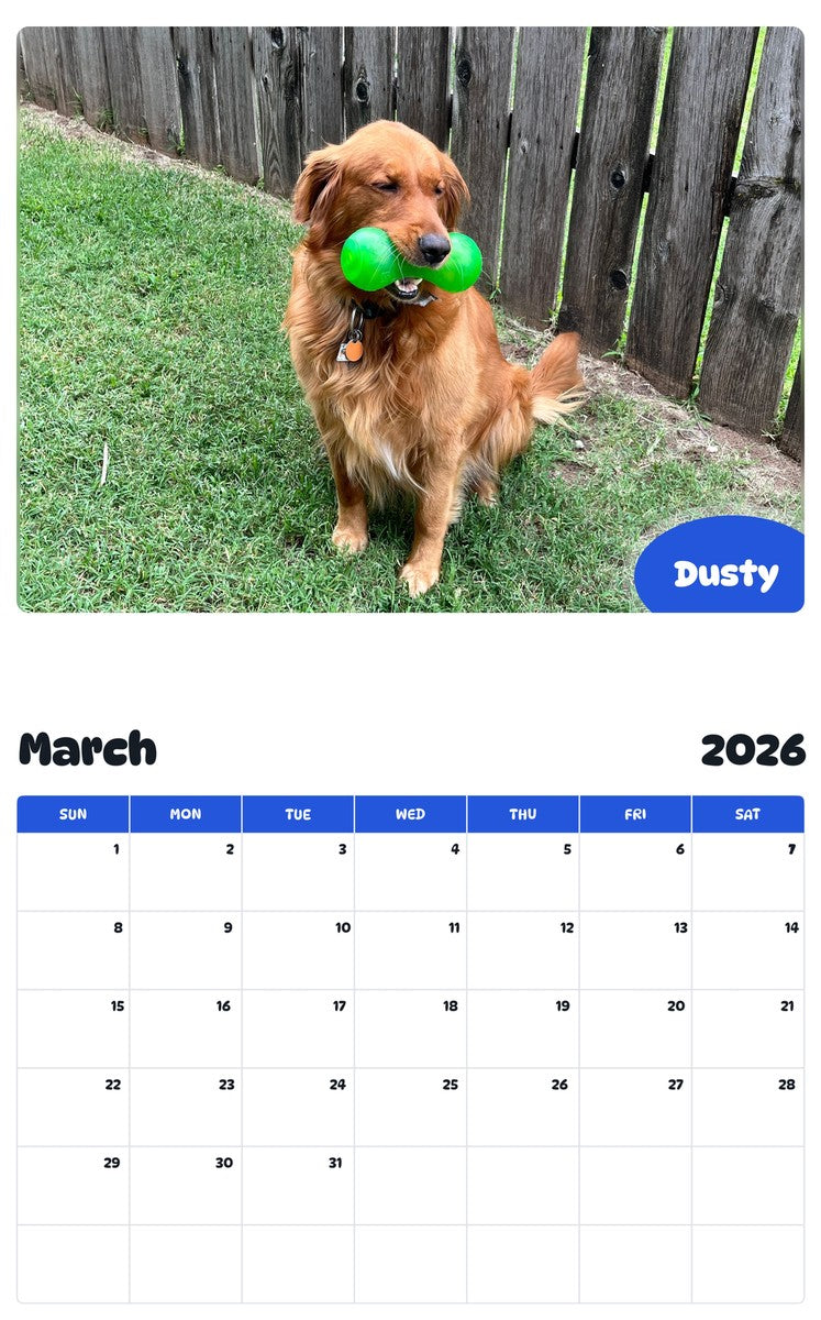 November 2025 - October 2026 Dusty - Pawidols Pet Calendar