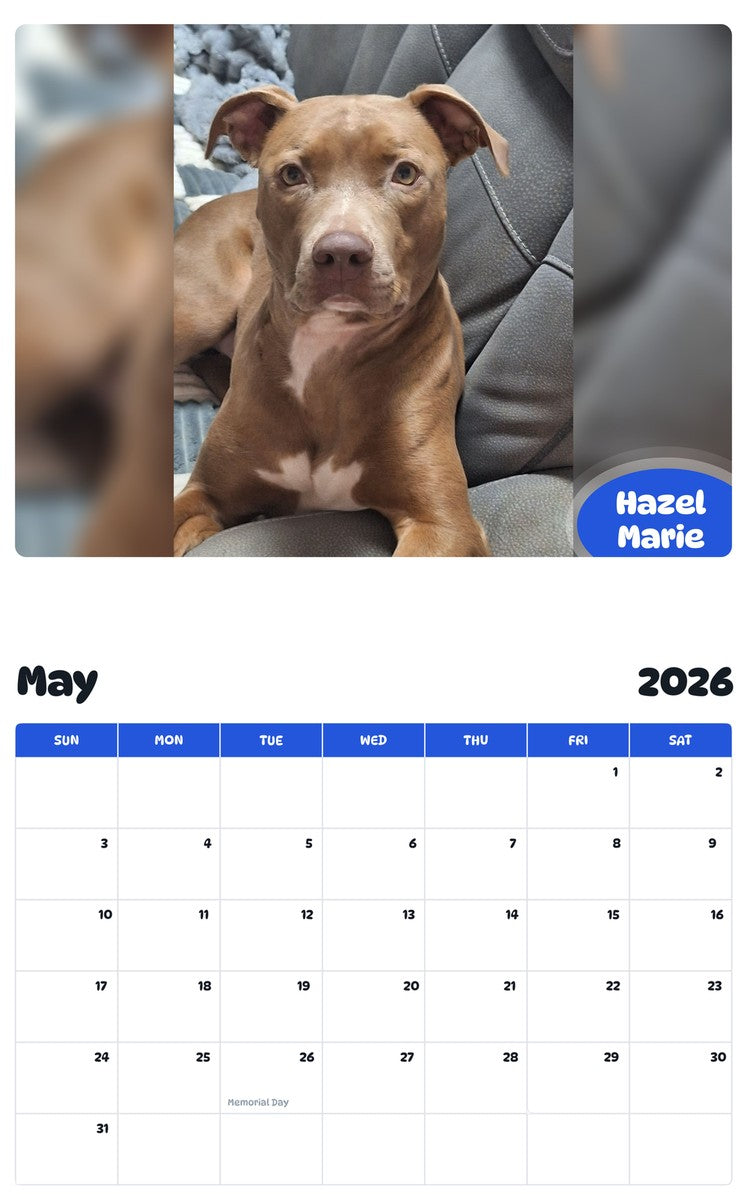 2026 - 2027 Hazel Marie - Pawidols Pet Calendar