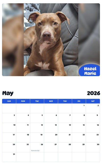 2026 - 2027 Hazel Marie - Pawidols Pet Calendar