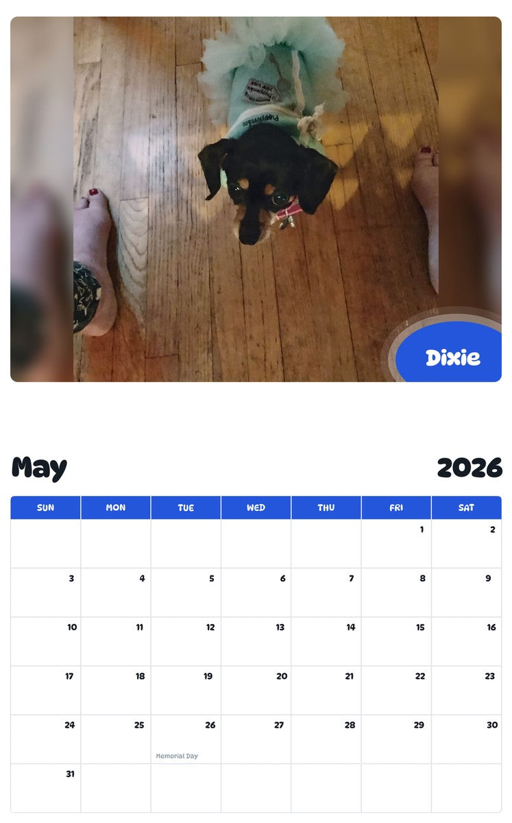 2026 - 2027 Dixie - Pawidols Pet Calendar
