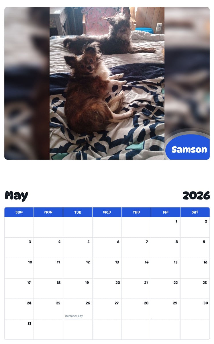 2026 - 2027 Samson - Pawidols Pet Calendar