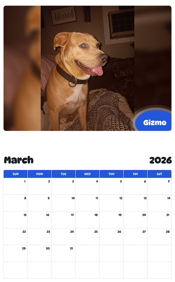 November 2025 - October 2026 Gizmo - Pawidols Pet Calendar