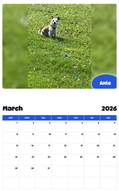 November 2025 - October 2026 Axle - Pawidols Pet Calendar