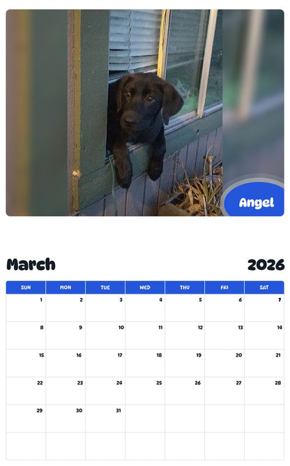 November 2025 - October 2026 Angel - Pawidols Pet Calendar