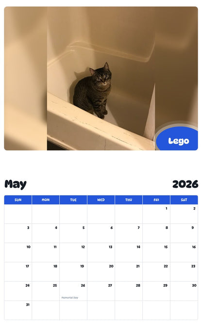 2026 - 2027 Lego - Pawidols Pet Calendar