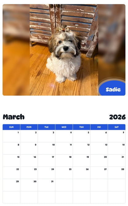 November 2025 - October 2026 Sadie - Pawidols Pet Calendar