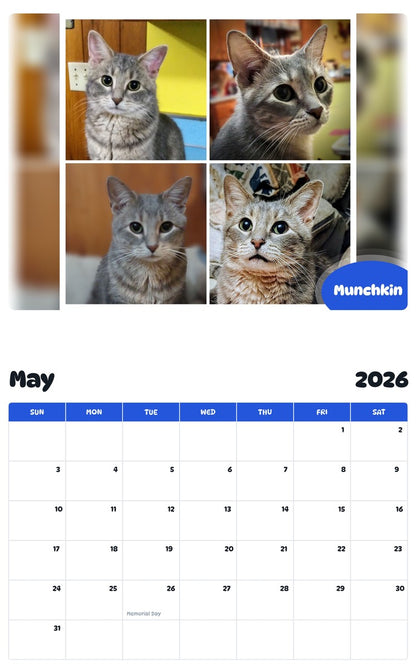 2026 - 2027 Munchkin - Pawidols Pet Calendar