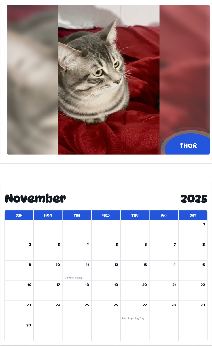 July 2025 - June 2026 Thor - Pawidols Pet Calendar