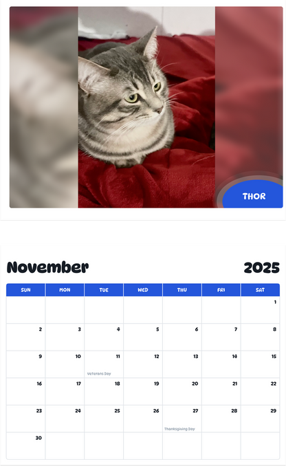 July 2025 - June 2026 Thor - Pawidols Pet Calendar